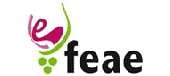 Logo de Federación Española de Asociaciones de Enólogos