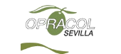 Logotipo de Organización de Productores de Aceite de Oliva y Aceituna de Mesa (OPRACOL)