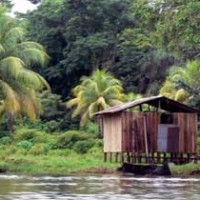 Foto de Importación de madera