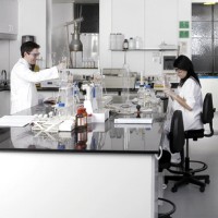 Foto de T�cnicas de laboratorio en el sector alimentario