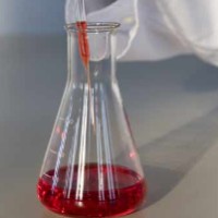 Foto de Los secretos del laboratorio