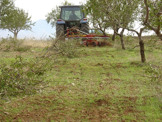 Picture of Barredora Alineadora