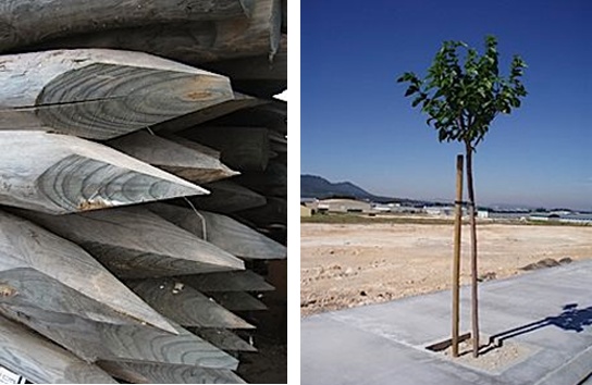Estacas de madera - Jardinería - Estacas de madera