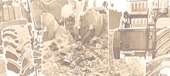 Ansemat_Demoagro
