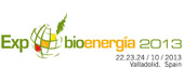 Bioenergía 2013