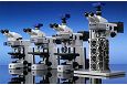 Fotografí­a de Microscopios verticales e invertidos