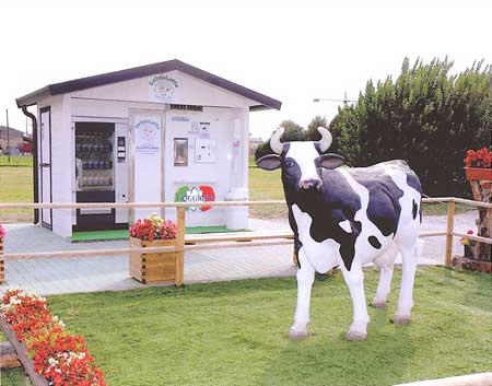 Fotografí­a de Leche fresca
