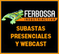 Fotografía de Subastas y Ventas