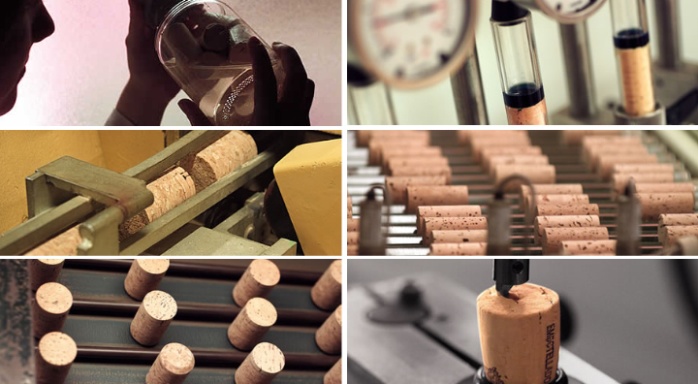 Institut Català del Suro (Icsuro)