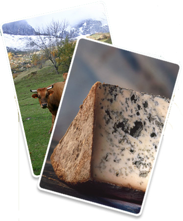 Queserías Picos de Europa, S.L. (C.R.I.G.P. Queso de Valdeón)