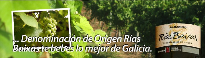 C.R.D.O. Rías Baixas