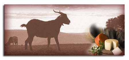 C.R.D.O.P. Queso Ibores (Queso Iborres)