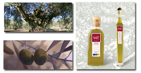 C.R.D.O. Montoro-Adamuz