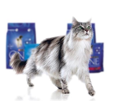 One - (Nestlé Purina Petcare España, S.A.)