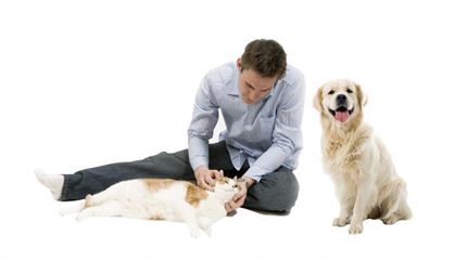 Procare - (Nestlé Purina Petcare España, S.A.)