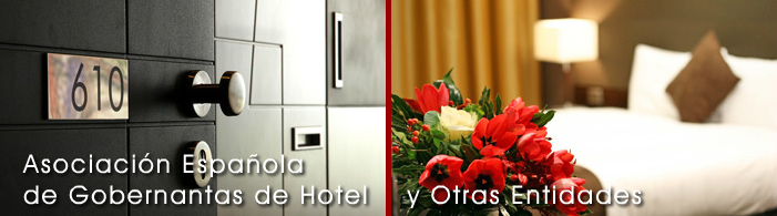 Asociación Española de Gobernantas de Hotel y Otras Entidades (ASEGO)
