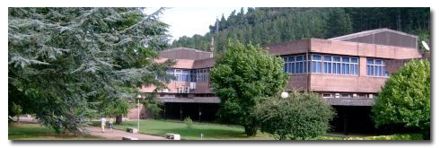 Leartiker Polymer R&D, S.C.