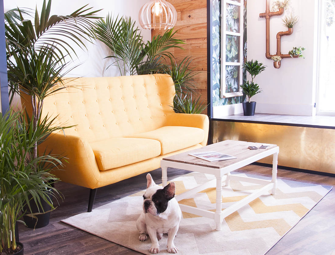 Klausroom, Estudio de Decoración e Interiorismo