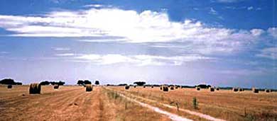 Asociación de Fabricantes Exportadores de Maquinaria Agrícola de Cataluña (FEMAC)