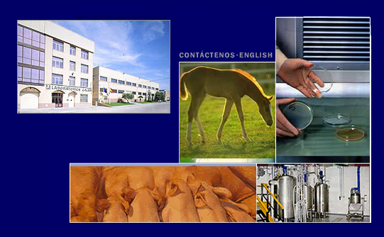 Laboratorios Calier, S.A.