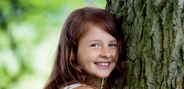 Sikkens Wood Coatings