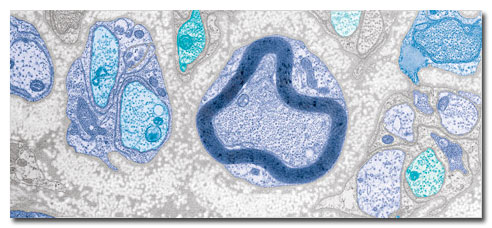 Carl Zeiss Iberia, S.L.