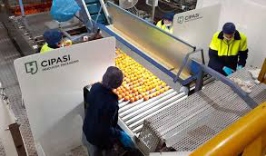 CIPASI, Compañia Ibérica de Paneles Sintéticos, S.A. - KARTON GROUP