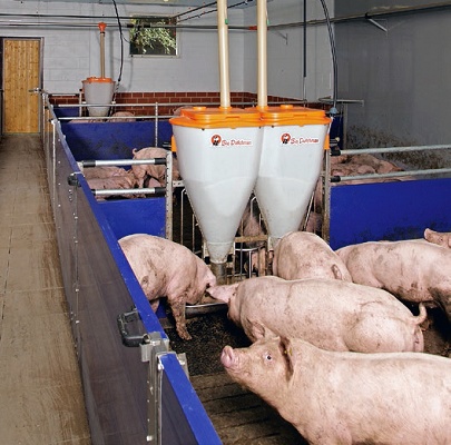 Corrales para grupos de cerdos Big Dutchman - Agricultura - Corrales