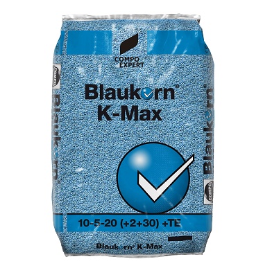 Blaukorn