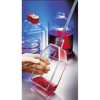 Frascos de cultivos celulares X200 fras - Química - Frascos de cultivos