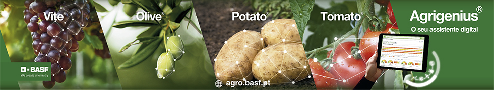 BASF Portuguesa, S.A.