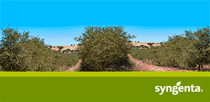 Syngenta: confíe a sua cultura à experiència da marca líder no Olival