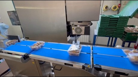 NOVA ES-E Sistema de Pesaje y etiquetado Superior para productos delicados